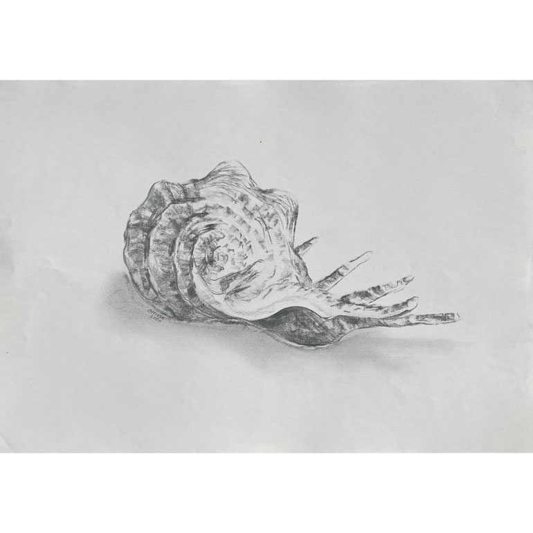 #GlendaMarkwellArt Shell 2