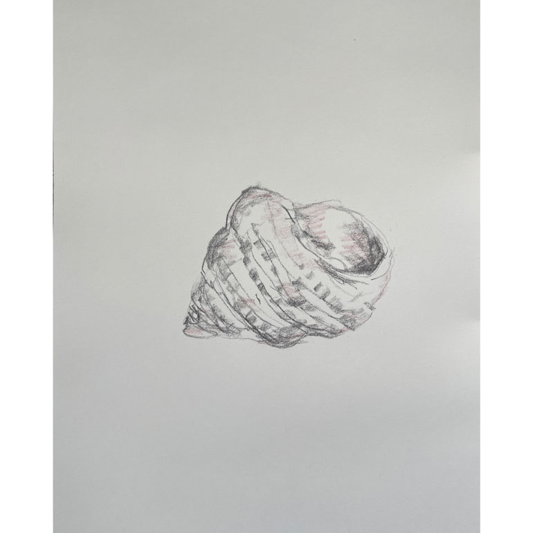 #GelndaMarkwellArt Shell 3