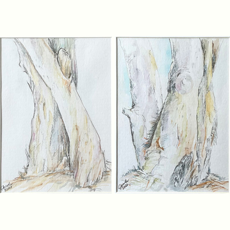 #GlendaMarkwellArt Ormiston Gums pencil and watercolour