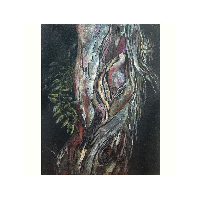 #GlendaMarkwellArt Paperbark