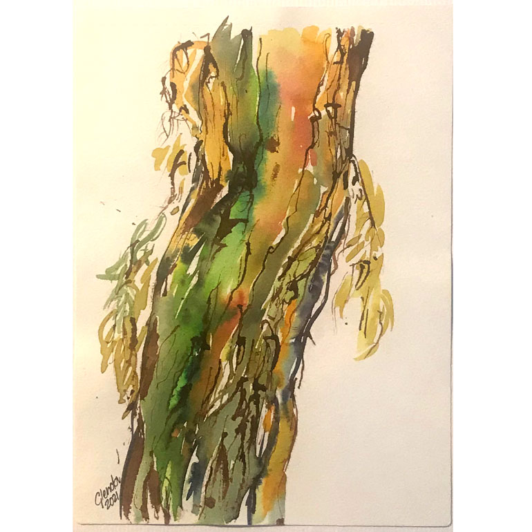#GlendaMarkwellArt Paperbark