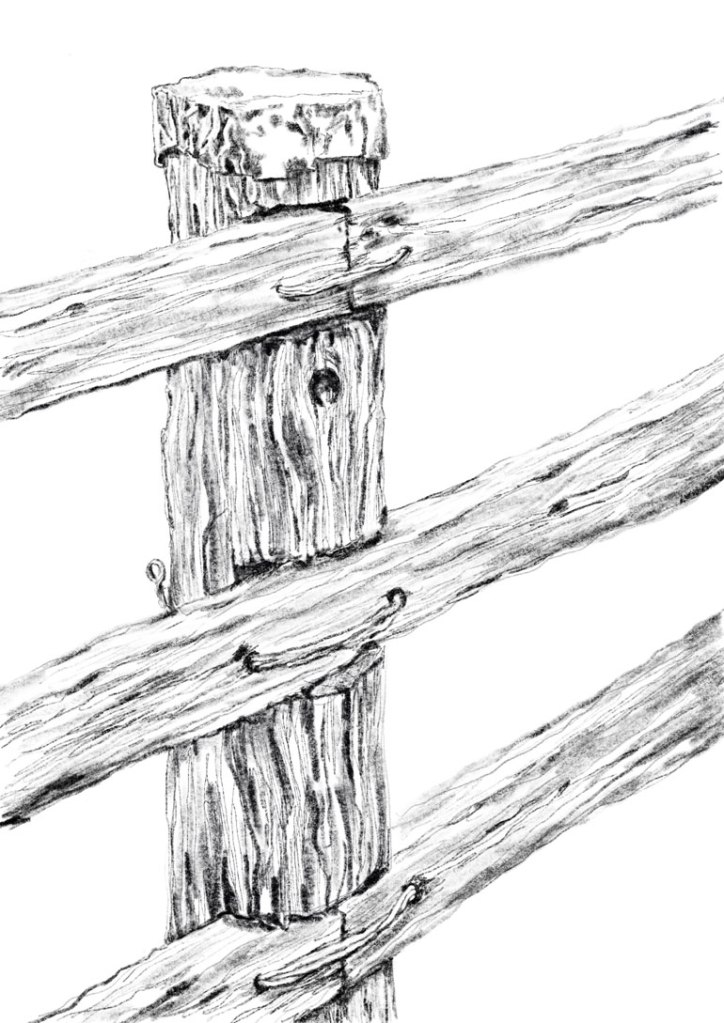 #GlendaMarkwellArt Post and Rail