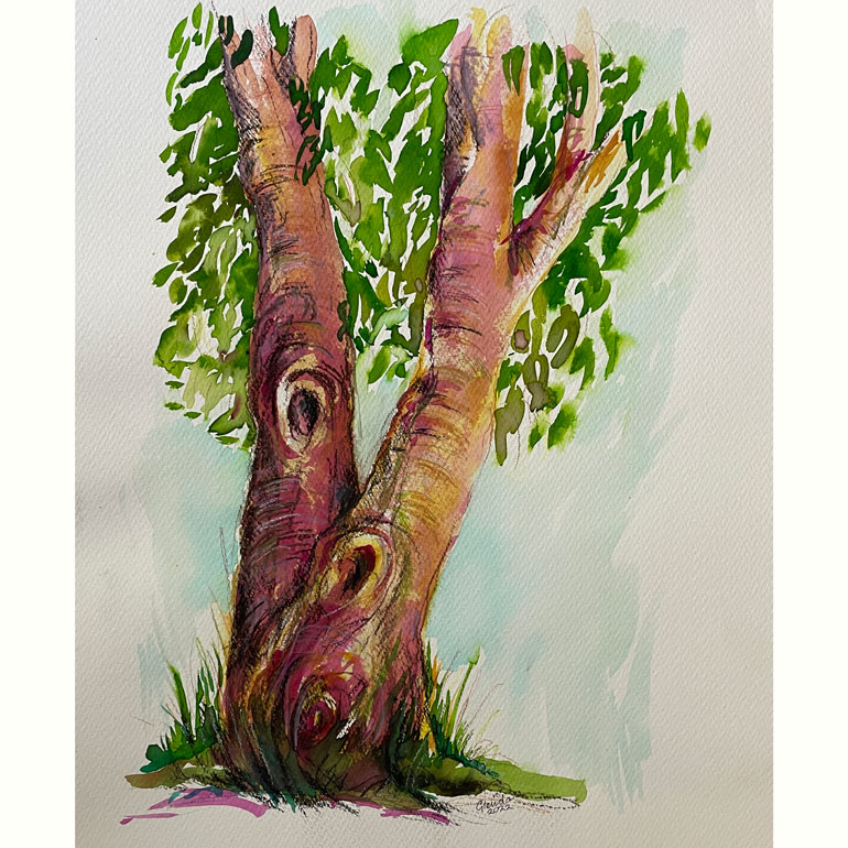 #GlendaMarkwellArt watercolour rainbow gum